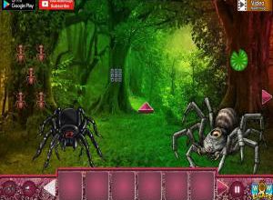 Giant spider forest escape soluce