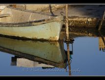 Reflets sur le canal...