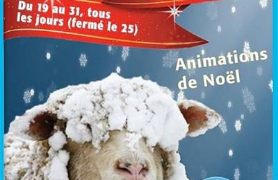 Rambouillet : Noël à la Bergerie Nationale
