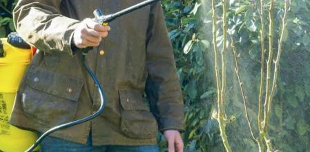L'agriculture biologique autorise-t-elle des pesticides ?