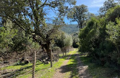 Balade dans la nature à Prezzuna - Galéria