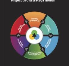 DIRCOM: EL EJECUTIVO ESTRATEGA GLOBAL leer epub gratis