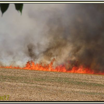 Feu de champ derrière chez nous