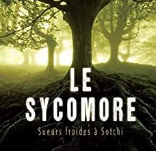 Mon avis sur "Le Sycomore" de Roger Pascault : un thriller passionnant sur fond d'espionnage !
