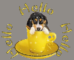 Relooking d'une boîte