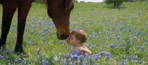 L'enfant et la nature