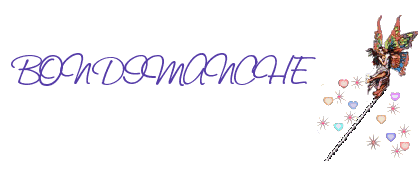 FEE BON DIMANCHE