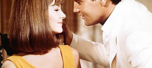 photo elvis -shelley fabares 