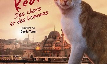 Les chats célèbres ... 