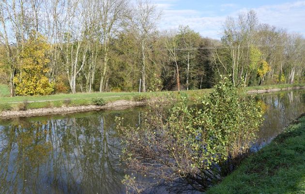 IMPREGNIONS NOUS DE LA BOURGOGNE