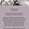 Le sentier de neige