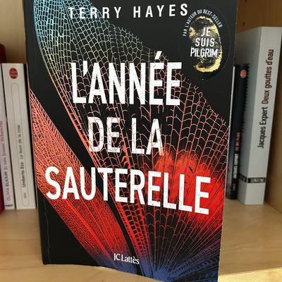 L'année de la sauterelle de Terry HAYES ★★★★ ♡