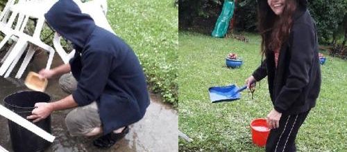 Tremblement de terre dans le jardin