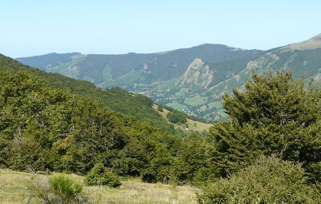 BESOIN  DE  SE  RAFRAICHIR - LE  CANTAL