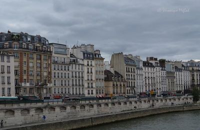 Les photos du weekend : L'île de la Cité 