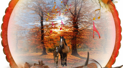 CADRE ANIMAUX NOTE DE MUSIQUE