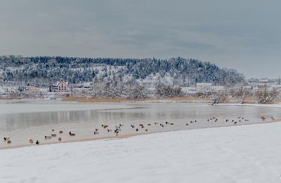 Il faisait un froid de canards, paraît-il...