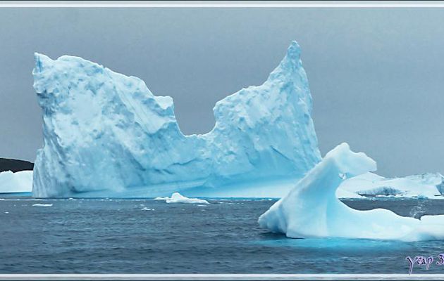 Encore quelques spécimens admirés dans le cimetière d'icebergs de Savissivik - Qaasuitsup - Baie de Melville - Groenland