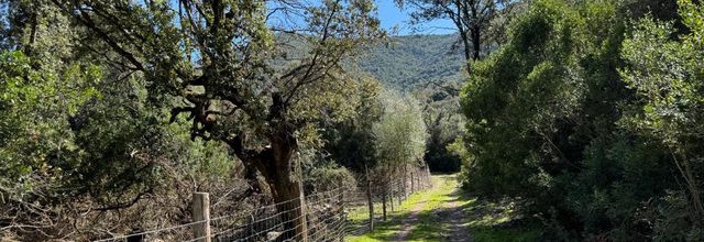 Balade dans la nature à Prezzuna - Galéria