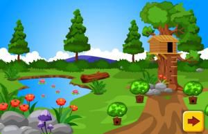 MeenaGames - Rescue the lovely parrots game
