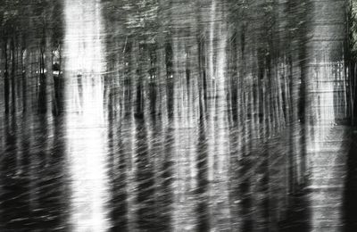 L'exil est un voyage  au coeur de l'hiver ( RC )  -  sur une photo de Thierry Azam