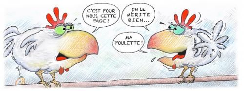 Galerie: les poules