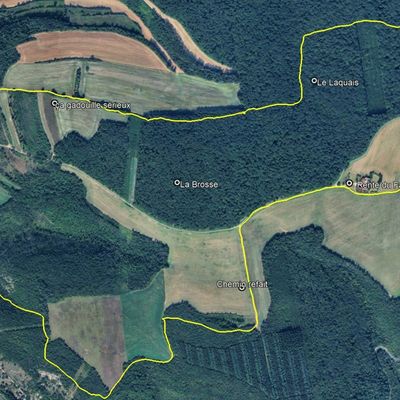 "La Brosse du Laquais" - Mercredi 28 janvier 2026