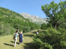 Pélerinage Bertaud-Ste Roselyne en randonnée de Juillet