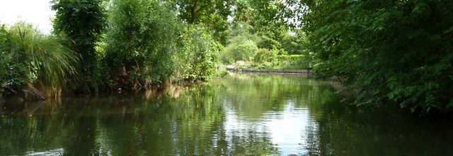 Amiens, la Nature en Ville - 3