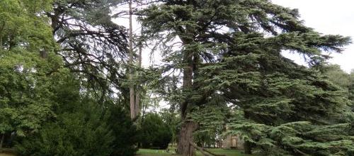 Un dimanche au parc