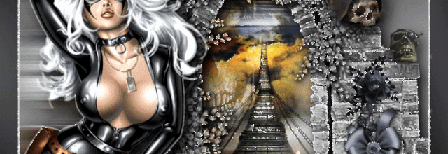 Concours juin tube imposé