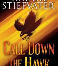 Full downloadable books Call Down the Hawk (English Edition)