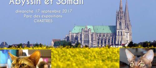 Expositions de septembre : 
