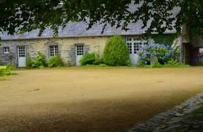 verte campagne  ( arrée )