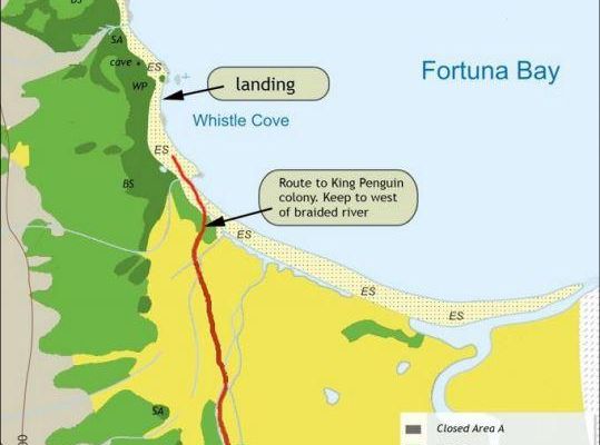 Nous nous enfonçons un peu dans la zone humide de la crique afin d'observer la colonie de milliers de Manchots royaux - Whistle Cove - Fortuna Bay - Géorgie du Sud