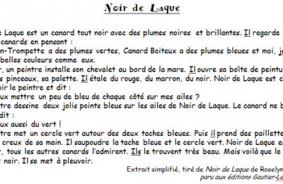 Grammaire Picot CE1 - textes, transpositions, exercices - Période 4