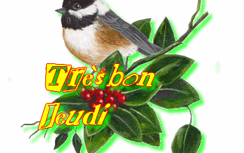 HISTOIRE BÊTE OU PAS BÊTE    17/07/2014