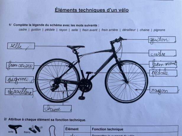 Leçon de sciences de CM1 ©SLG.jpg