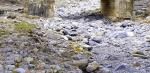 Le torrent de Kerith