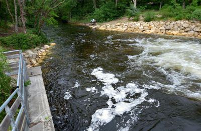 UNE BALADE DECOUVERTE PARC DE LA CHENERAIE A GUJAN-MESTRAS (Gironde - 33)