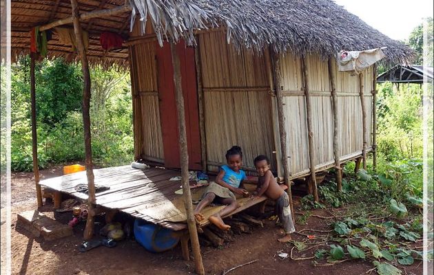 Promenade dans la forêt de Nosy Sakatia : Rencontre avec un futur marin ... - Madagascar