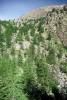 06-Val Merveilles