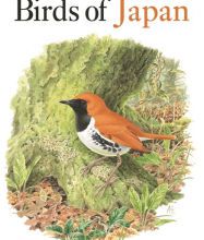 DOWNLOADS Birds of Japan