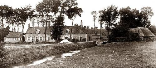 Bois en Ardres