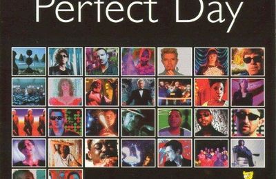 Perfect Day
