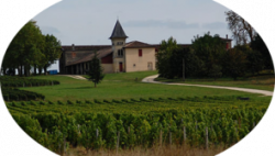 Rando20 / CR -St Selve St Morillon 