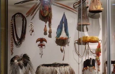 Après-midi au Muséum d'histoire naturelle de La Rochelle (2/2)...