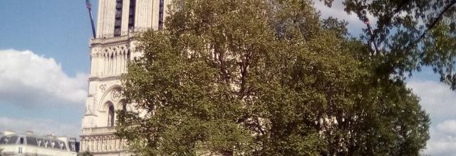 Notre-Dame de Paris : Quelques clichés ... 