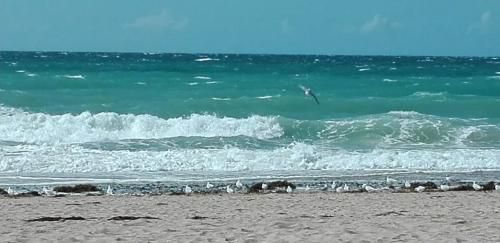 bonnes vacances