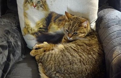 Dimanche c'est Quya
